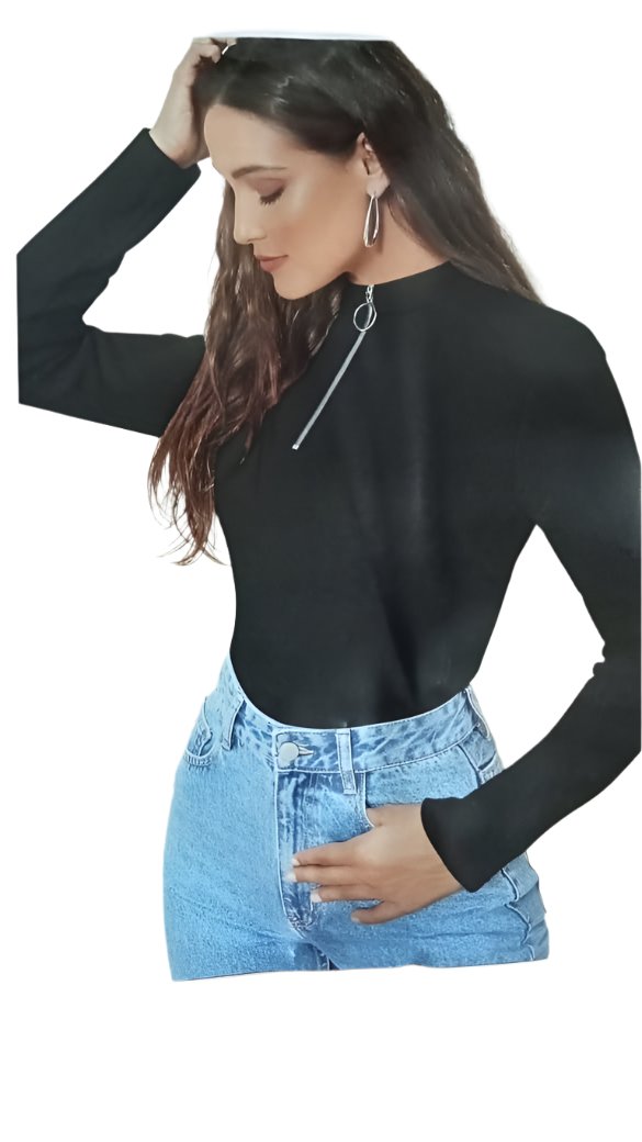 Casual Regular Sleeves Solid Women High Neck Zipper Top